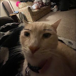 Meet your Posher, Jonny